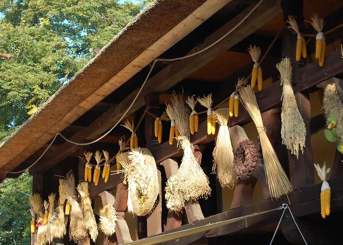 Bed & Breakfast Die Gurkenscheune - Fruehstueckspension 3*